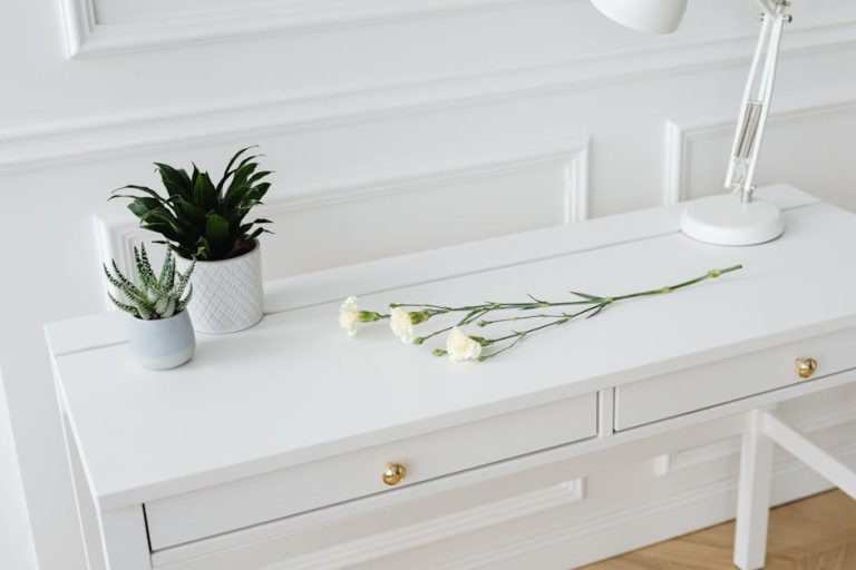 clean minimal desk workspace ADHD focus