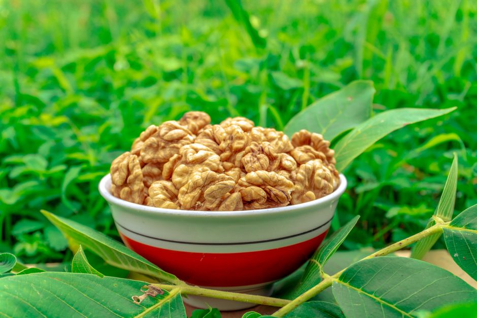 healthy brain food nutrition ADHD focus